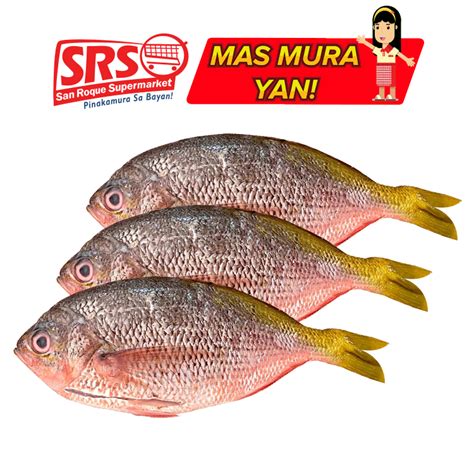 dalagang bukid english|Dalagang.